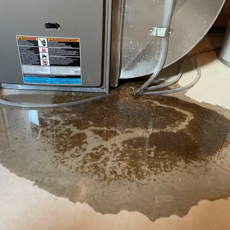 Appliance Leak Cleanup in Farmington, CT